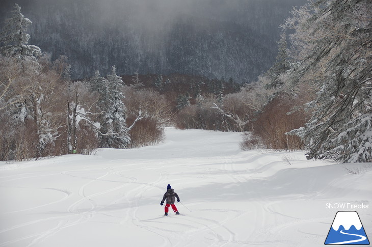 札幌国際スキー場 Welcome back POWDER SNOW !! ～パウダースノー復活～